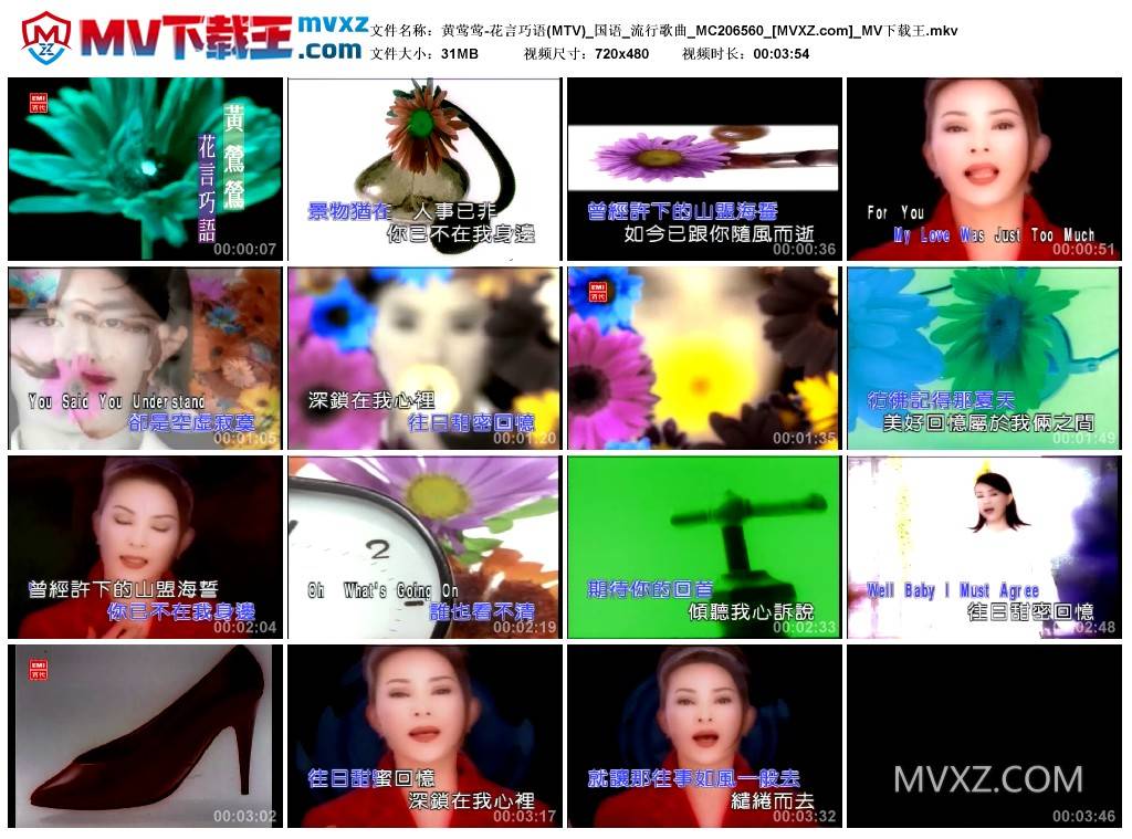 黄莺莺-花言巧语(MTV)_国语_流行歌曲_MC206560